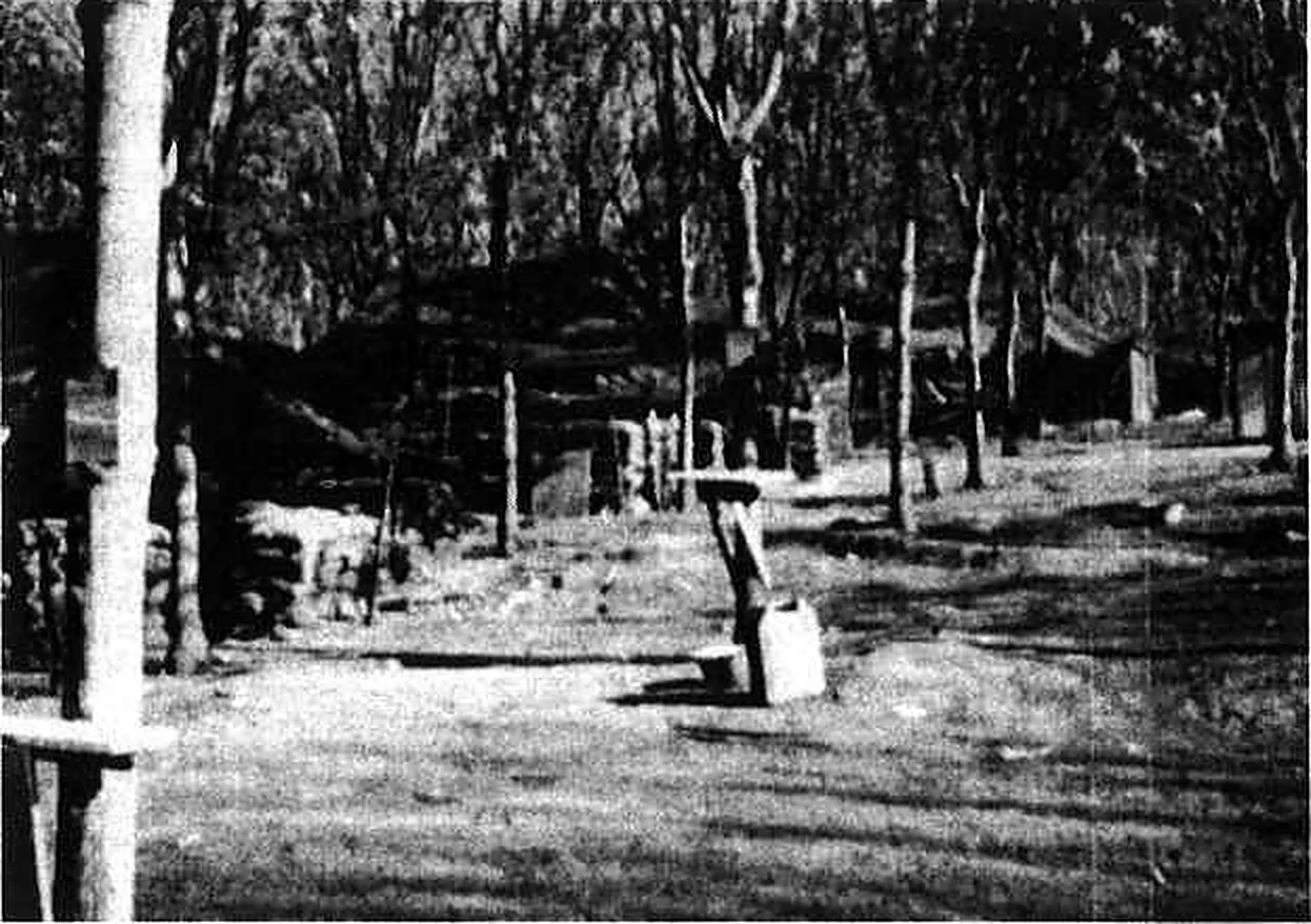 Tents and tracks among rubber trees at the 5 RAR base camp