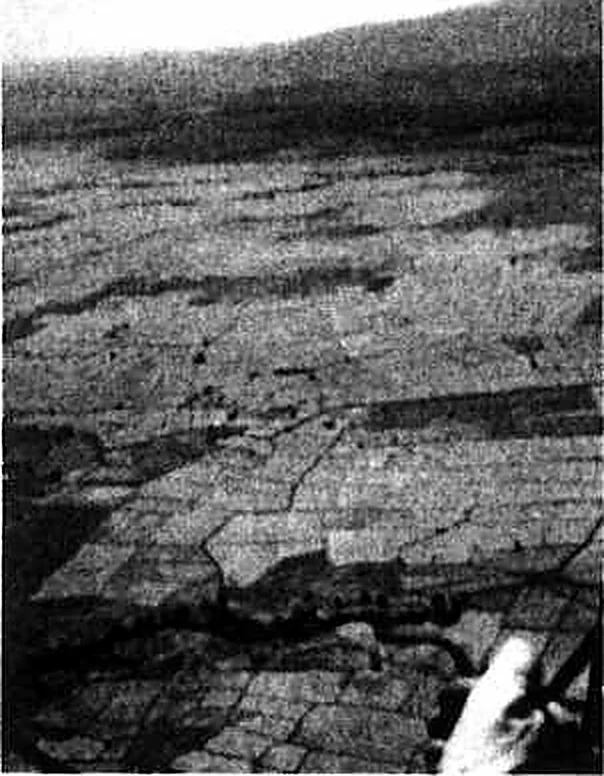 Aerial view over rice paddy fields